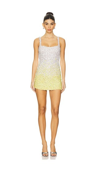 Giulia Mini Dress in Blossom | Revolve Clothing (Global)