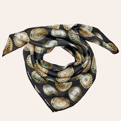 Fringe Scarves Black Big Concho Long & Tall Silk Scarf | Cavender's