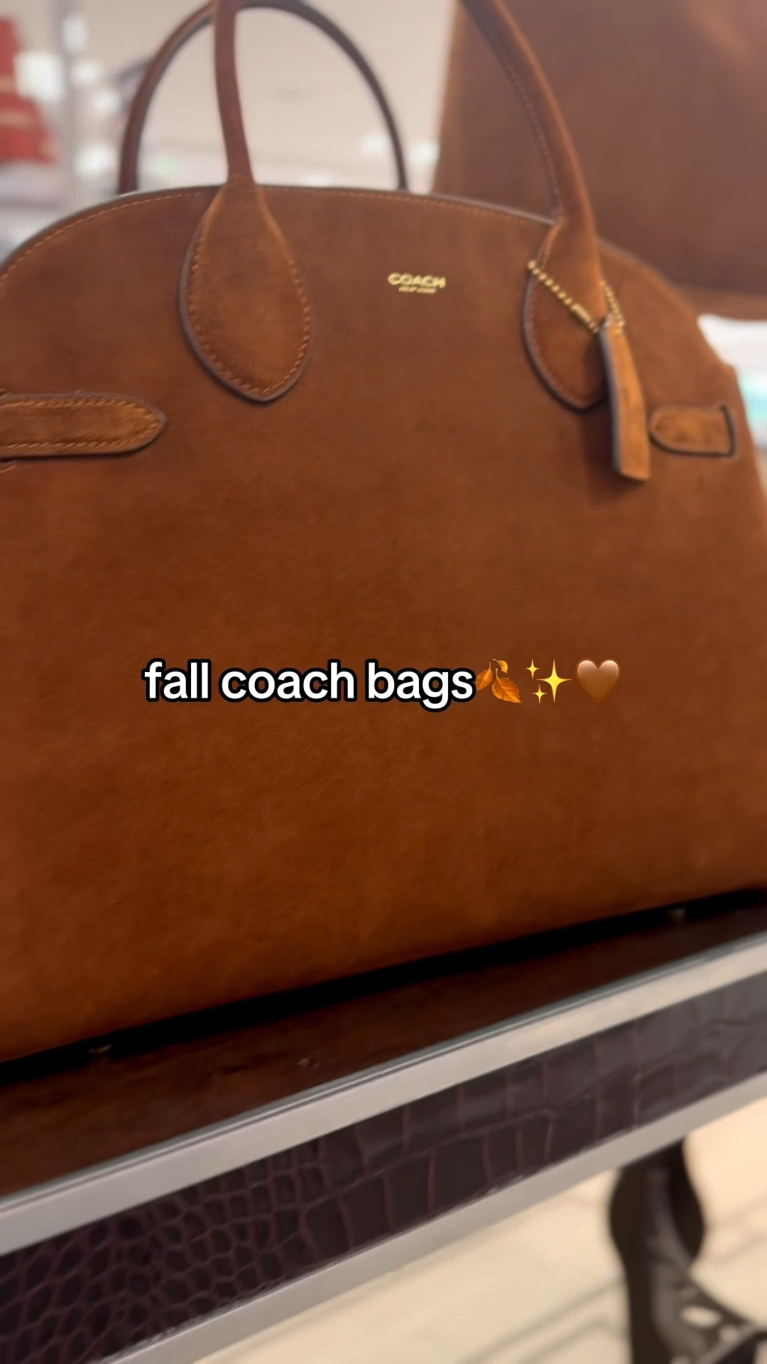 need this seasons bag 😭🍂✨ #coachbag #coach #purse

#LTKItBag #LTKSeasonal #LTKStyleTip