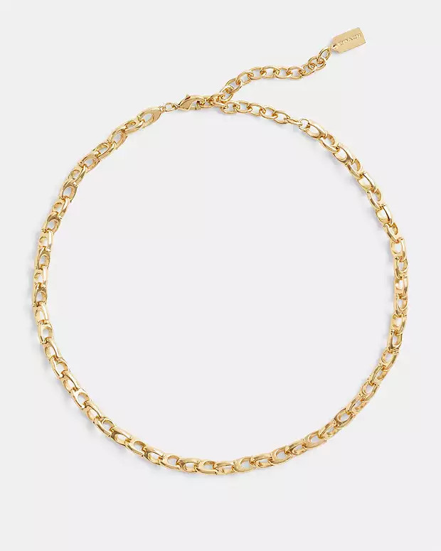 Signature Chain Link Choker Necklace | Coach (US)