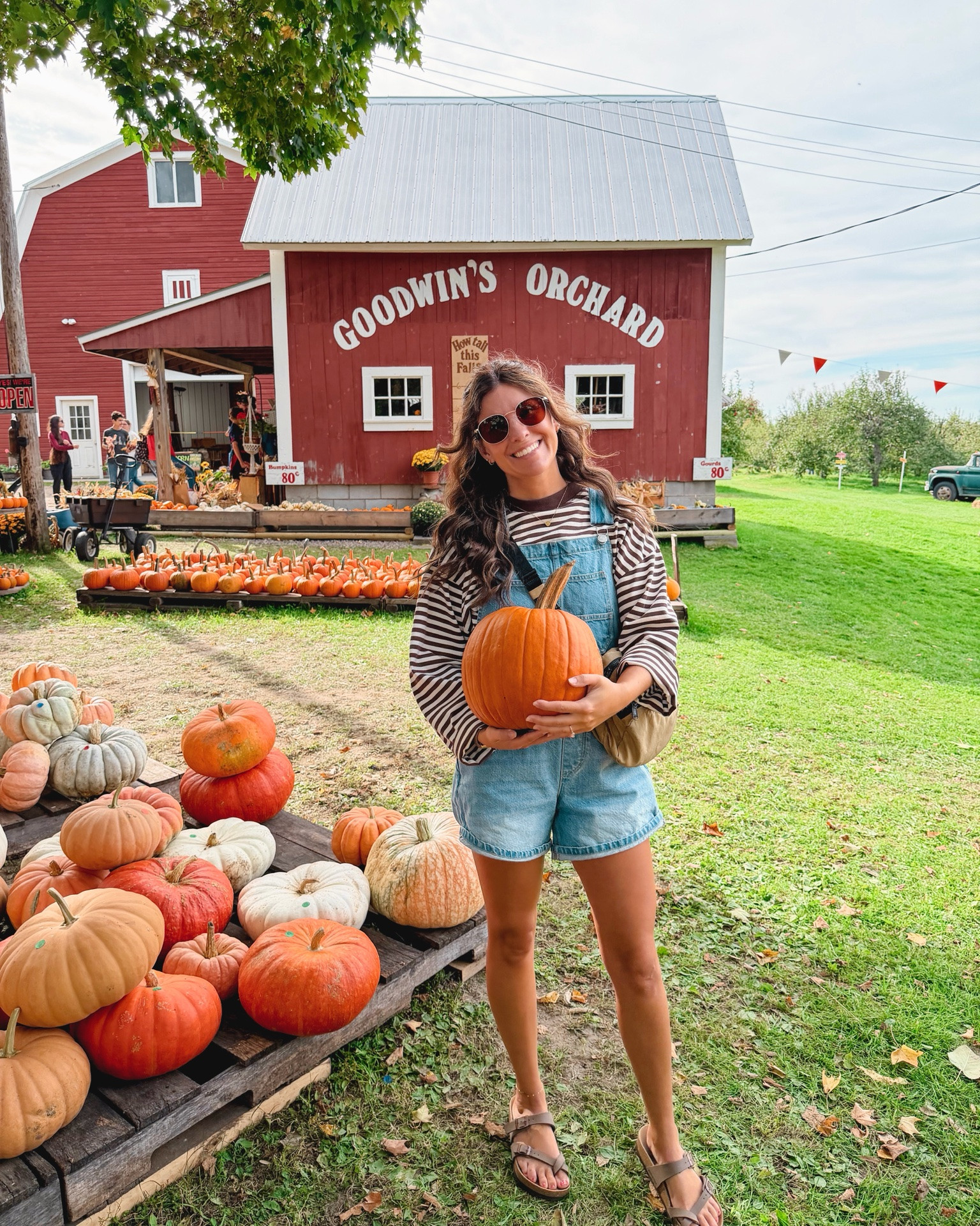 Pumpkin patch outfit🧡 🌱

 small in my striped long sleeve shirt and xs in my denim short overalls and 36 in my birkenstock sandals 🤎

#LTKPetite #LTKstorytime #LTKSeasonal