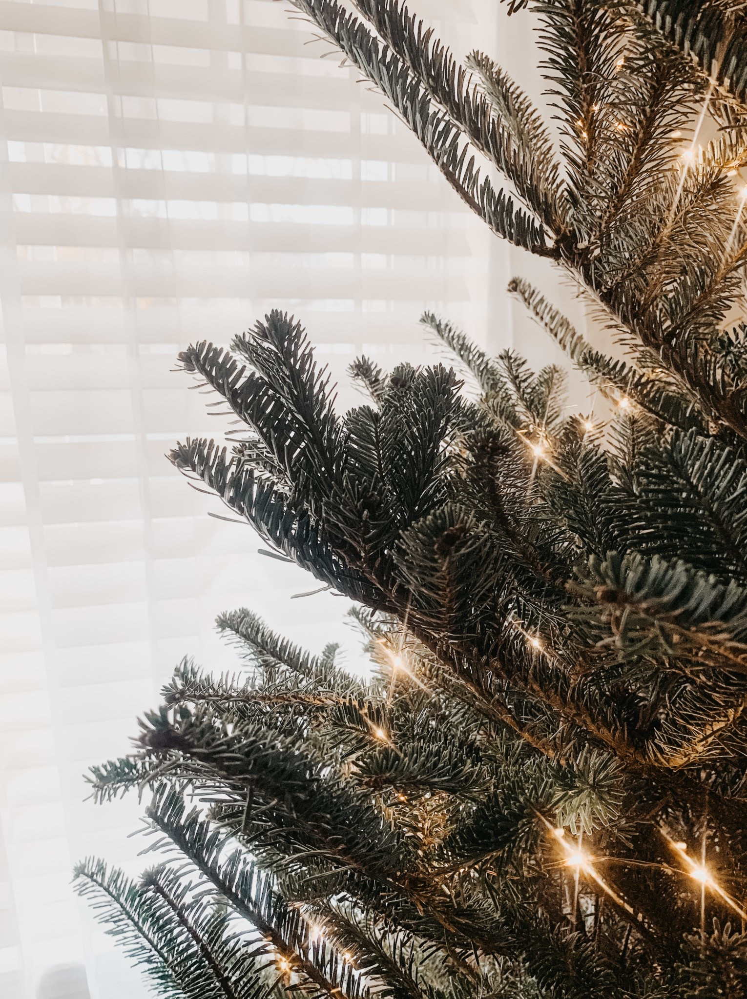 Christmas Decor ✨ 
twinkling lights 
cozy tree 🌲 

#LTKHoliday #LTKSeasonal #LTKHome