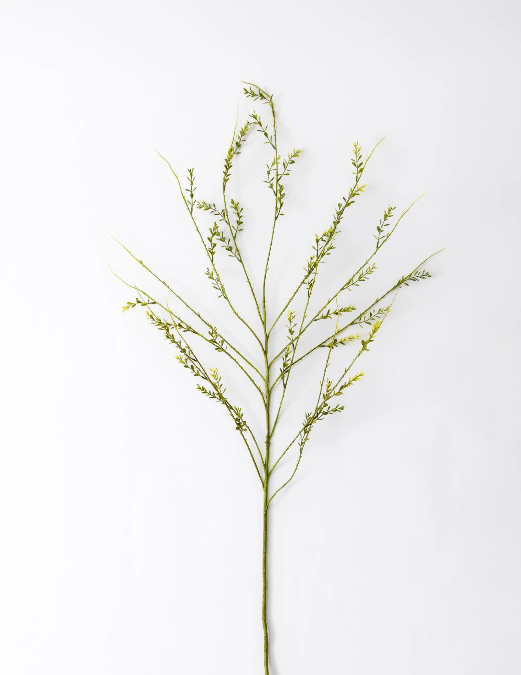 Mini Leaf Spray 48" | Eco Chic Home