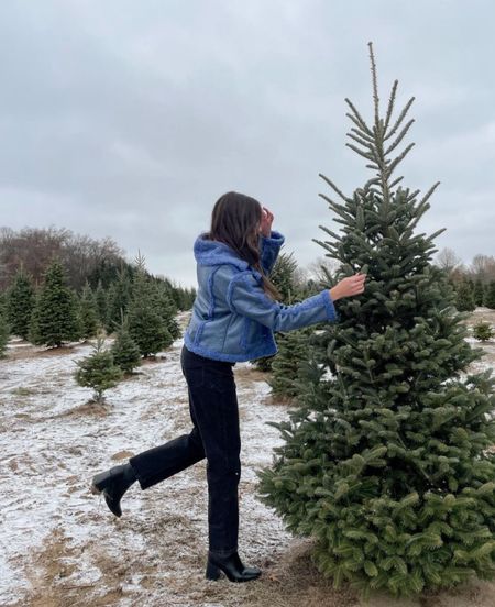 Faux fur coat, blue coat, black maternity jeans, Madewell jeans, black booties

#LTKHoliday #LTKstyletip #LTKbump