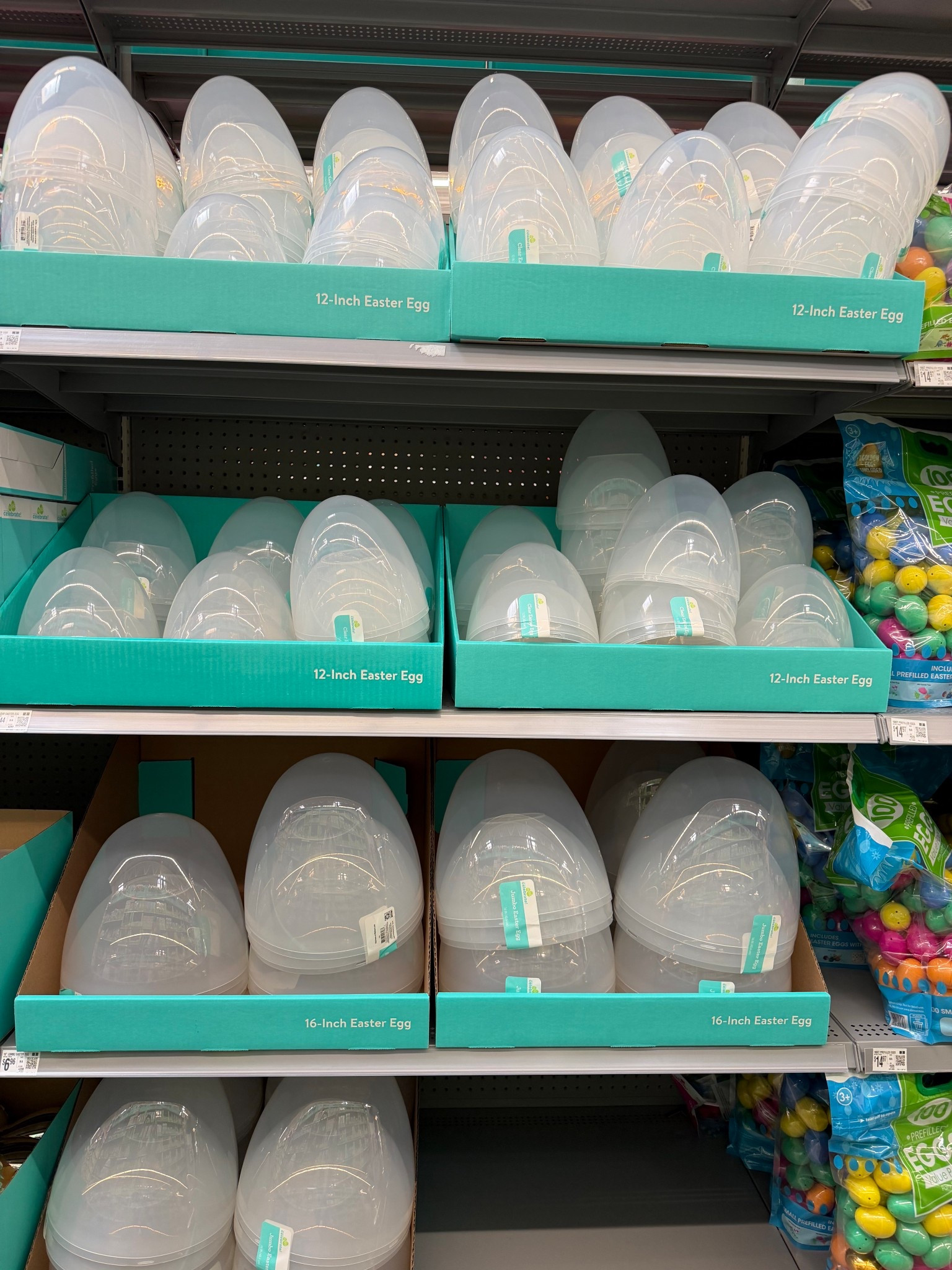 Walmart has a bunch of the clear eggs in different sizes if you are having trouble finding them!

Easter baskets 

#LTKSeasonal #LTKHome
