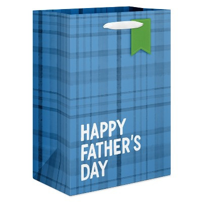 Large Father's Day Gift Bag, Blue Plaid 1 Bag 13"x10" | Target