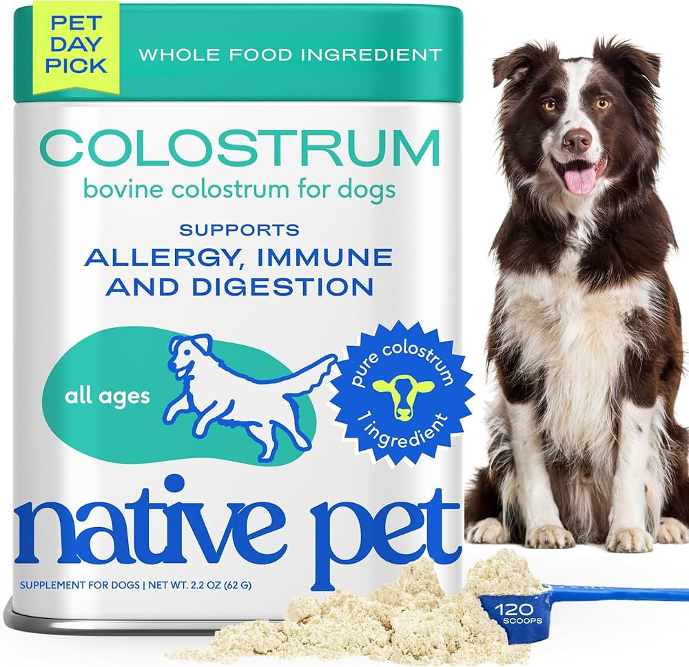 Amazon.com : Native Pet Colostrum for Dogs - Bovine Colostrum Powder - Dog Allergy Relief, Itchy ... | Amazon (US)