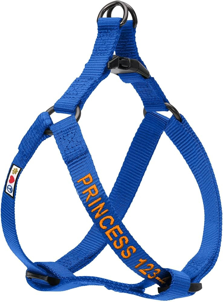 Pawtitas Personalized Dog Harness Dog Harness with Name Phone Number Puppy Harness Adjustable Cus... | Amazon (US)