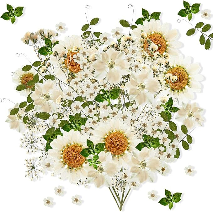 Amazon.com: Nuanchu 81 Pieces Pressed Flowers Bulk White Dried Flowers for Resin Mold, Dried Leav... | Amazon (US)