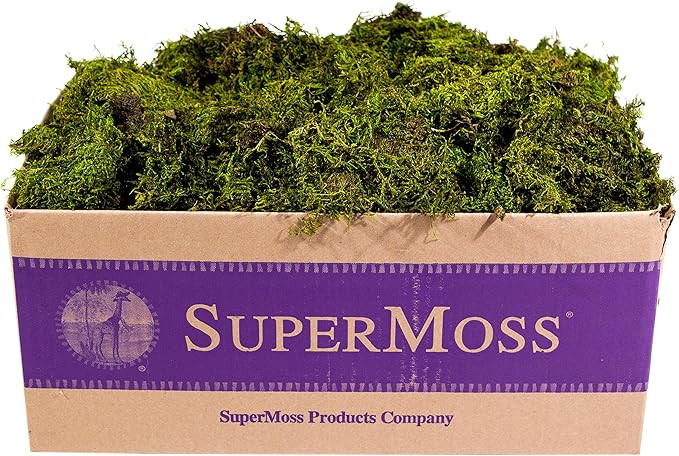SuperMoss (22167) Sheet Moss Mini (Shredded) Preserved, Fresh Green, 3lbs | Amazon (US)