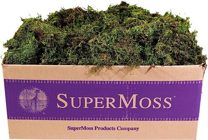 Brand: Super Moss | Amazon (US)