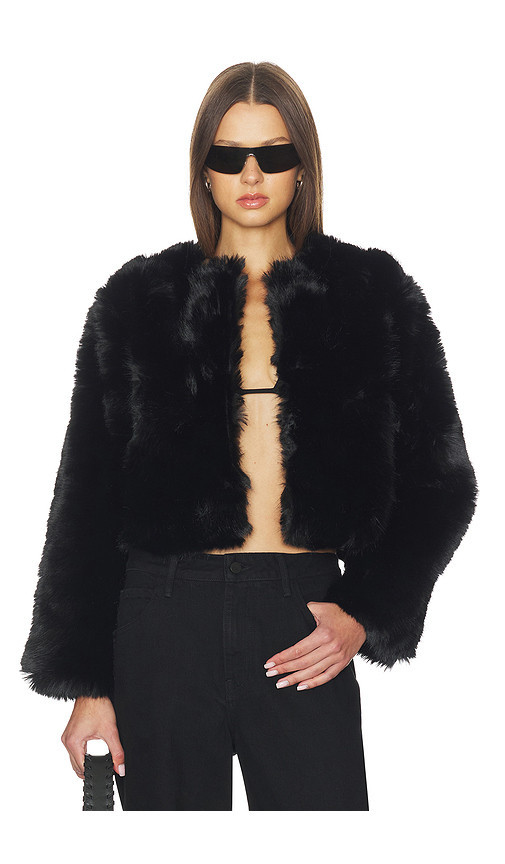 BLANKNYC Crop Faux Fur Coat in Black. Size S. Also in L, M. | Revolve Clothing (Global)
