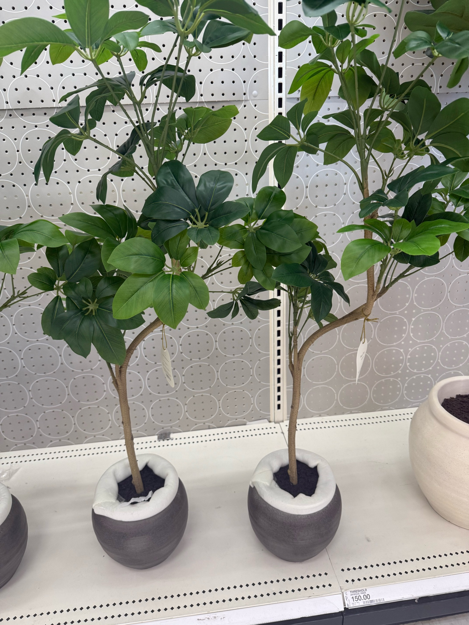 Artificial trees @Target 

Fall home decor neutral home decor

#LTKmomlife #LTKSeasonal #LTKHome