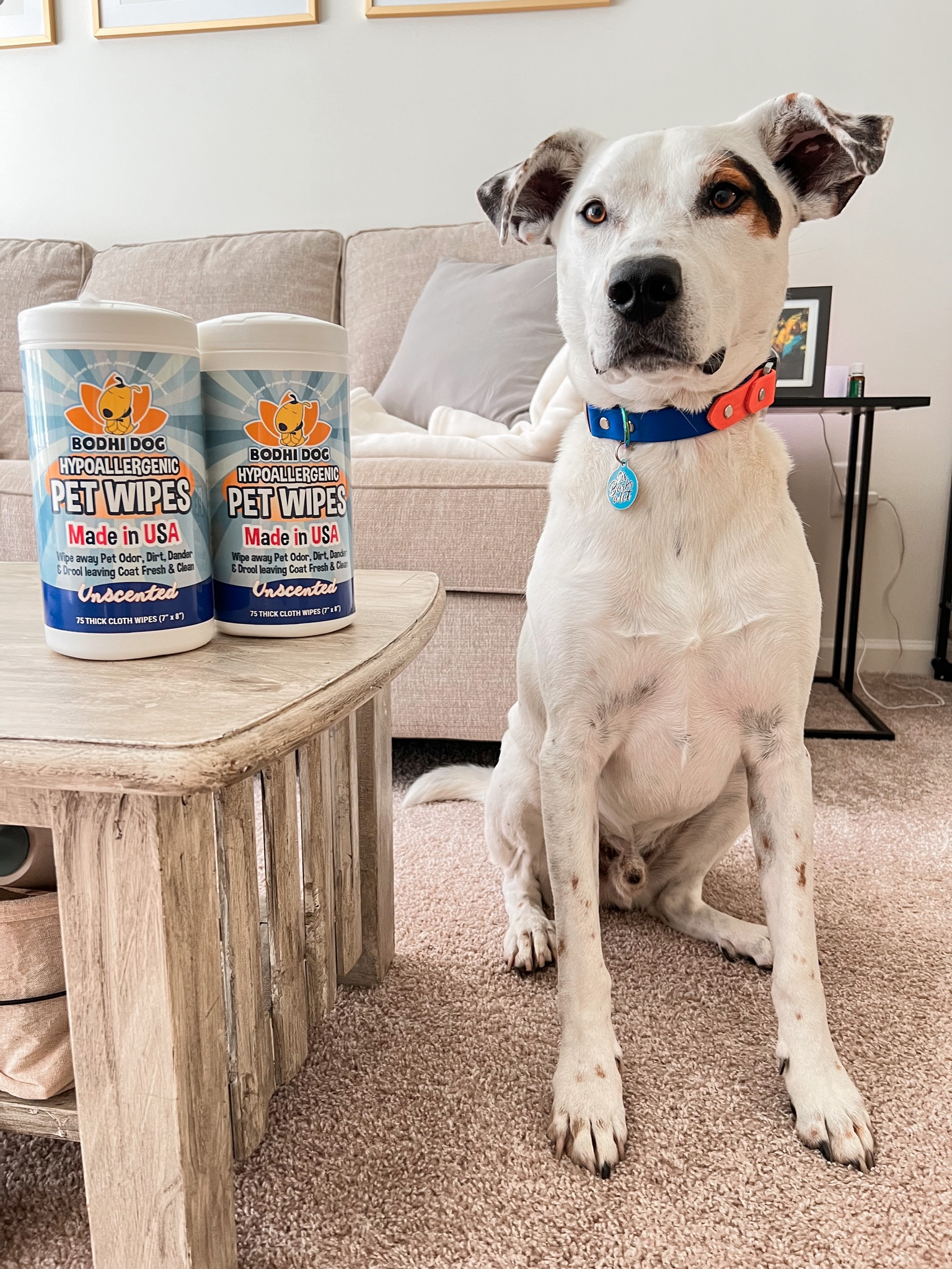best pet wipes- free express shipping 🙌🏼 and use code RIGATONI15 on Bodhidog.com

#LTKunder50 #LTKhome