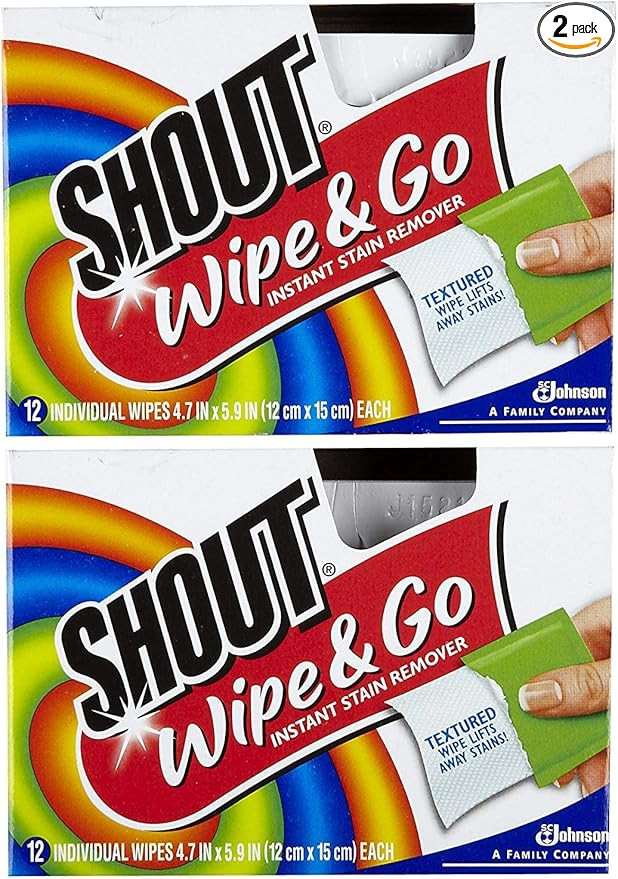 Shout Stain Remover Wipes - 12 ct - 2 pk | Amazon (US)