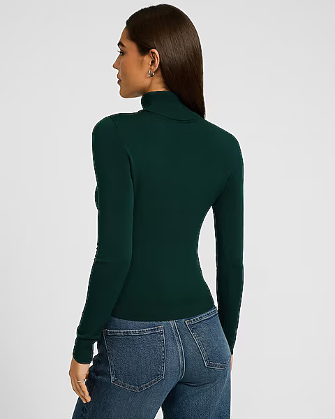 Silky Soft Fitted Turtleneck Sweater | Express
