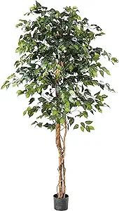 Nearly Natural 6ft. Ficus Artificial Trees, 72in, Green | Amazon (US)
