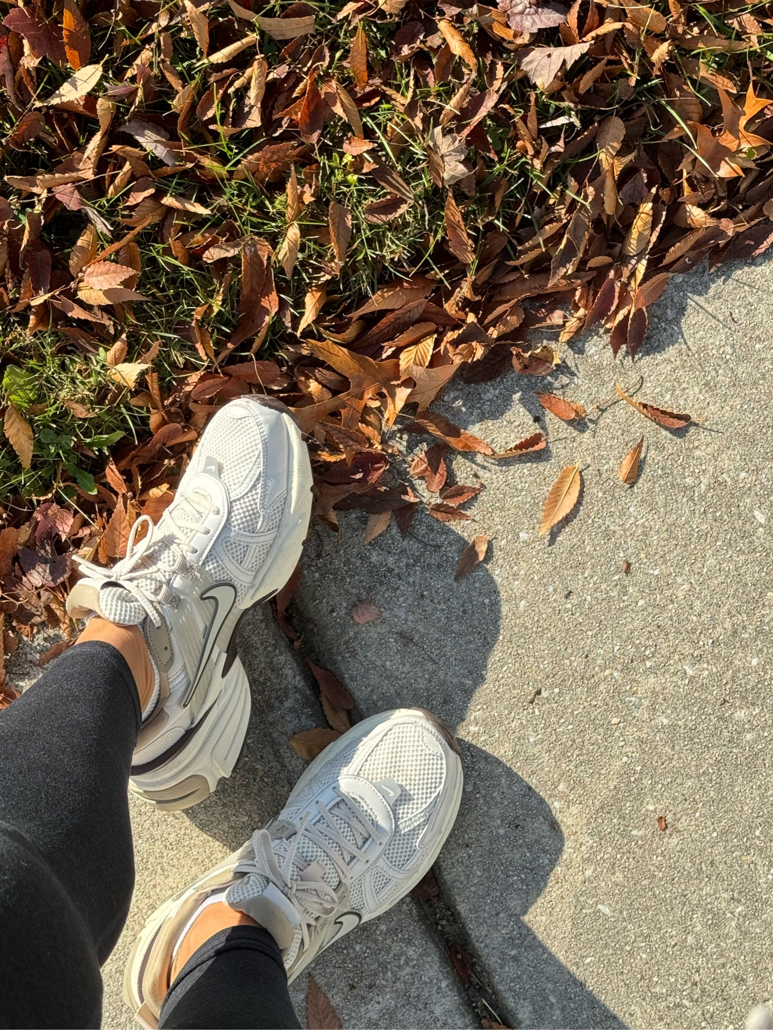 Fall shoes 
I sized up half a size in these 



#LTKActive #LTKSeasonal #LTKGiftGuide