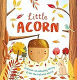 Nature Stories: Little Acorn: Padded Board Book    Board book – Picture Book, September 1, 2020 | Amazon (US)