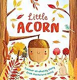 Nature Stories: Little Acorn: Padded Board Book    Board book – Picture Book, September 1, 2020 | Amazon (US)