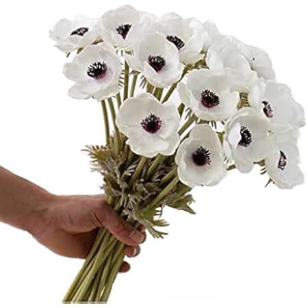 18 Sets Artificial Poppy Anemone Flowers Picks Bulk White Poppy Anemone Stems Silk Anemone Flower... | Amazon (US)