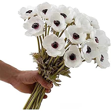 18 Sets Artificial Poppy Anemone Flowers Picks Bulk White Poppy Anemone Stems Silk Anemone Flower... | Amazon (US)