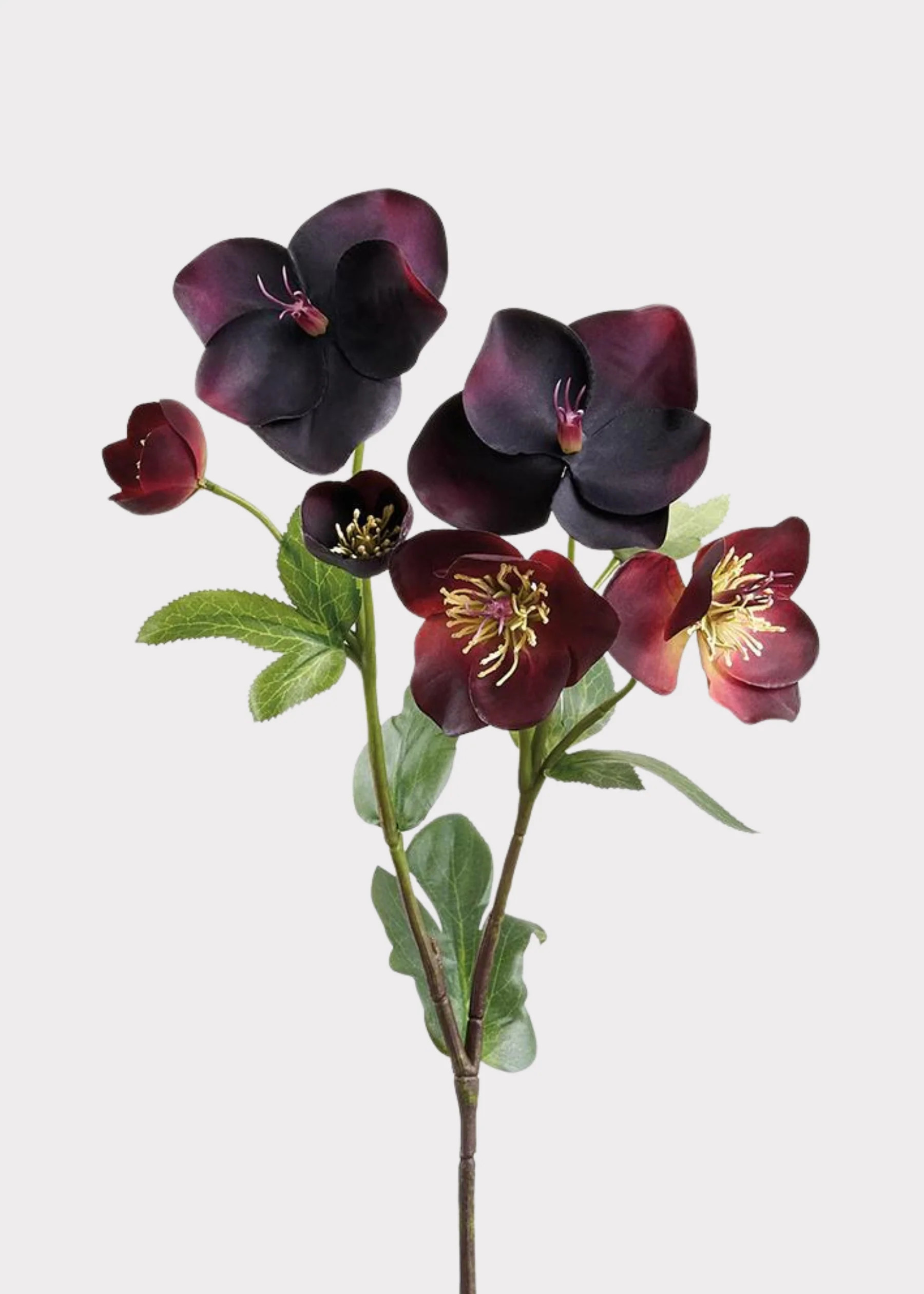 Plum Purple Real Touch Helleborus Artificial Flowers - 17" | Afloral