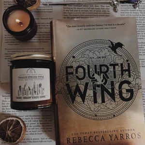 Fourth Wing Bookish Gift Box Violet Sorrengail Xaden - Etsy | Etsy (US)