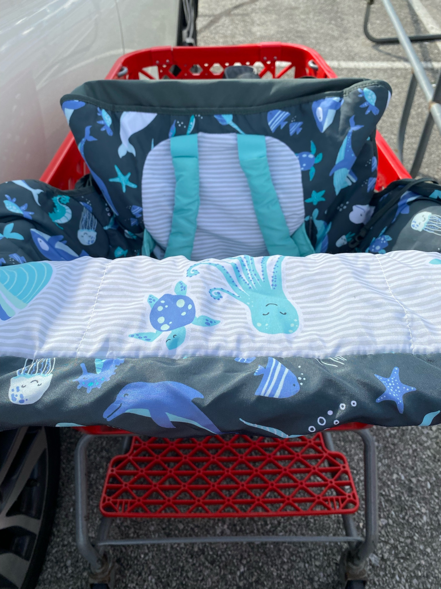 This cart cover is THE best. Fits perfectly over the carts at Target



#LTKbaby #LTKkids #LTKFind