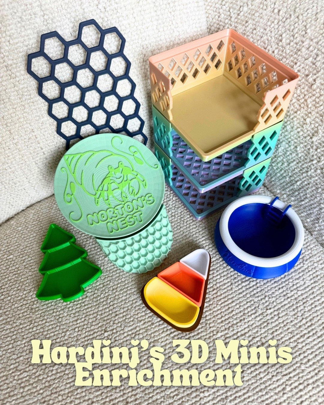 Hardini’s 3D Minis hermit crab enrichment!