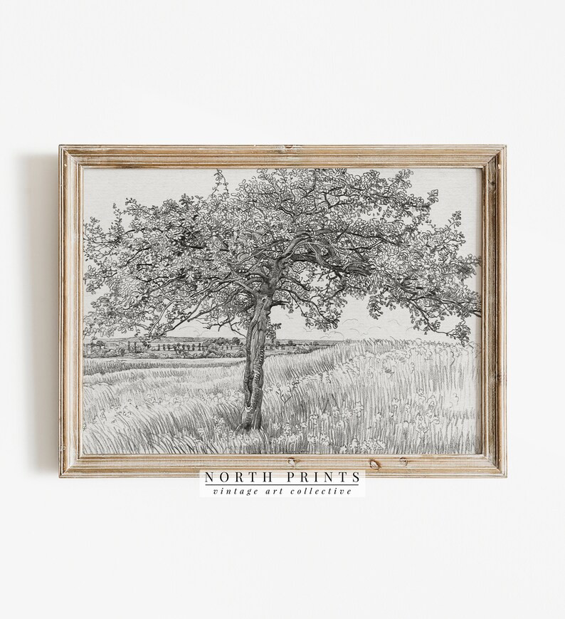 Apple Tree Sketch | Vintage Farmhouse Kitchen Decor PRINTABLE #520 | Etsy (CAD)