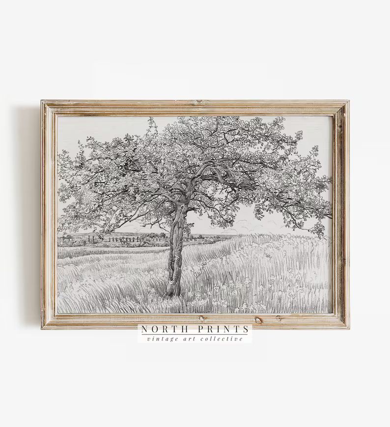 Apple Tree Sketch | Vintage Farmhouse Kitchen Decor PRINTABLE #520 | Etsy (CAD)