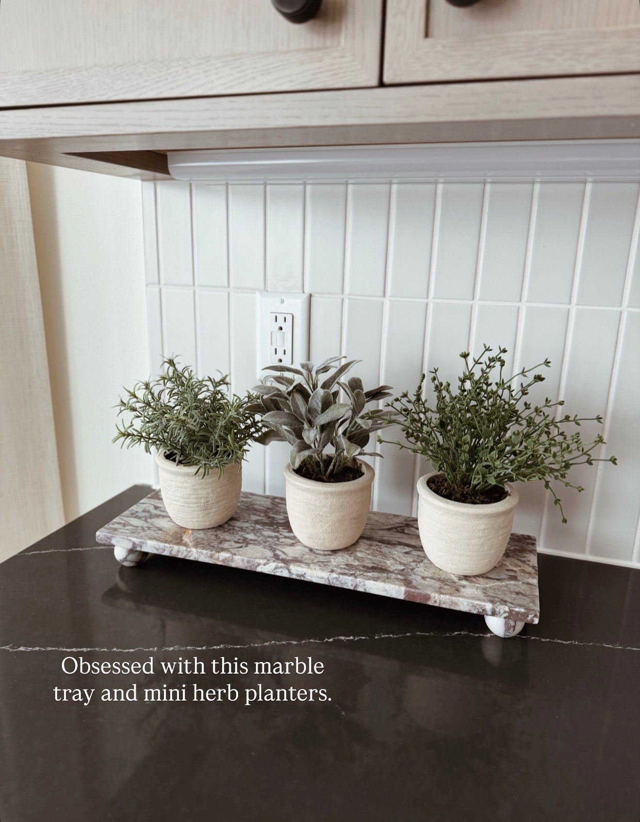 The prettiest $35 marble tray! I can’t believe how gorgeous it is! I also love these little herb plants. They are the perfect size for a windowsill or kitchen shelf.

#LTKHome #LTKFindsUnder50