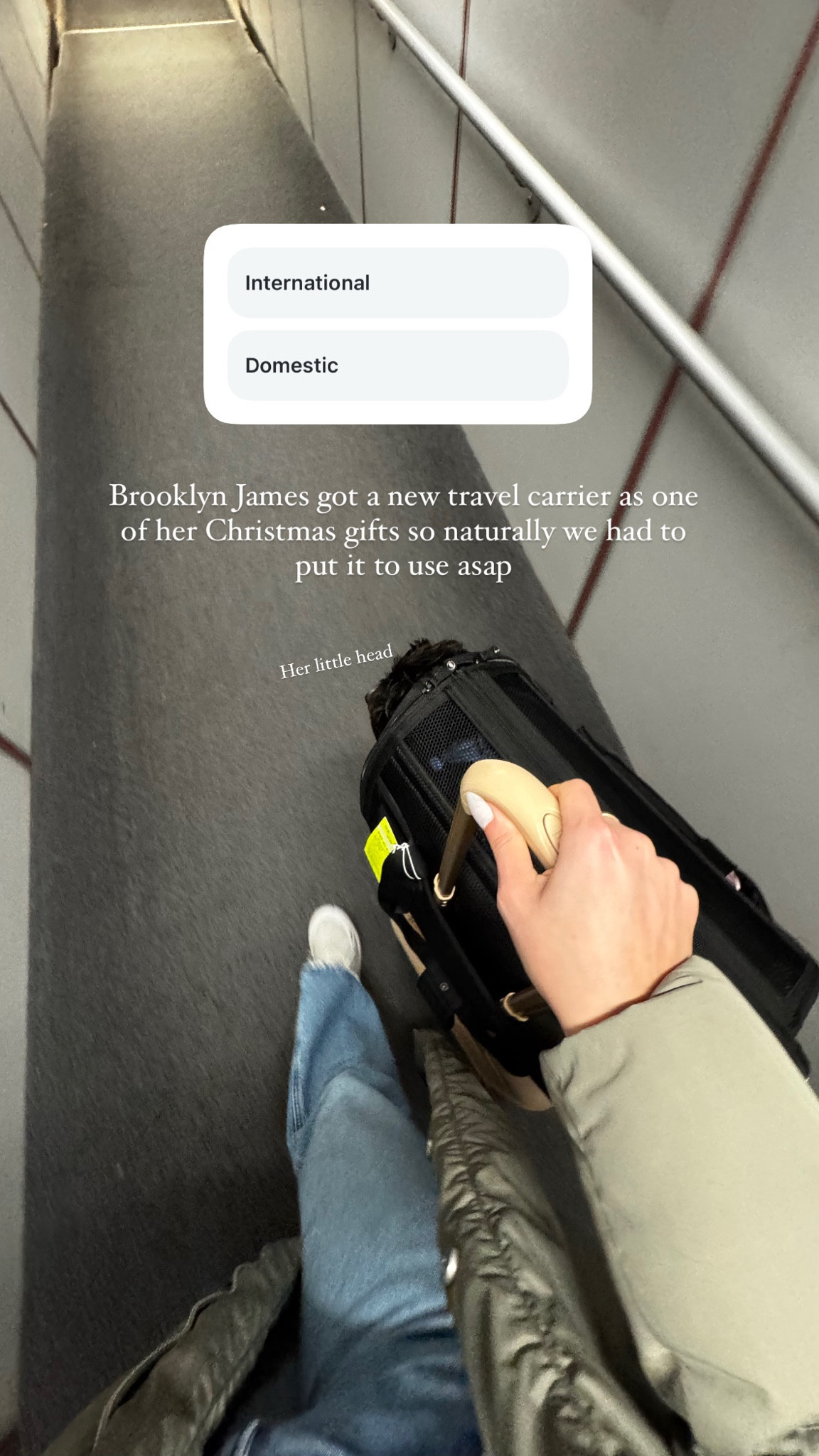 The pet travel carrier I use for Brooklyn James!