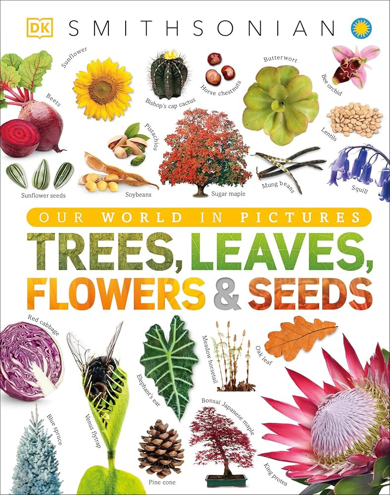 Trees, Leaves, Flowers and Seeds: A Visual Encyclopedia of the Plant Kingdom (DK Our World in Pic... | Amazon (US)