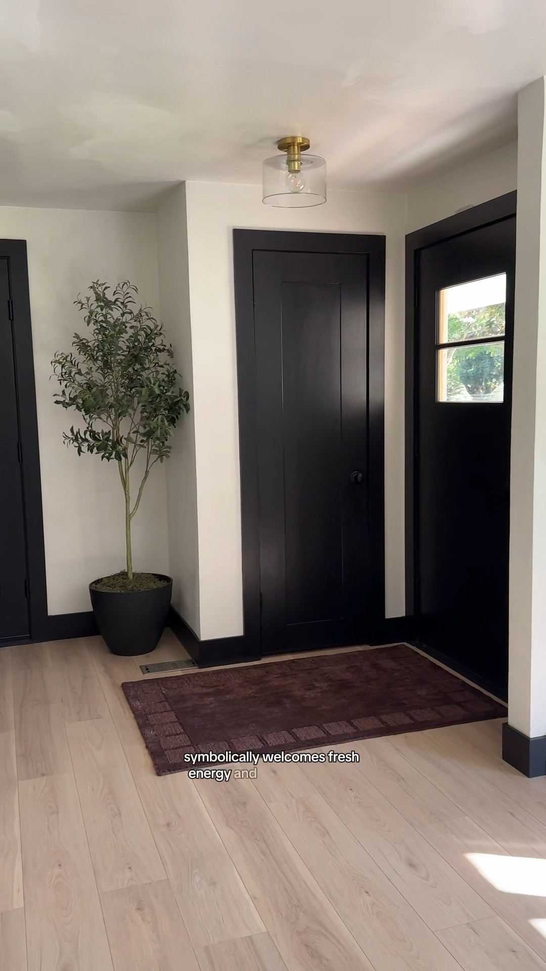 Your entry sets the tone for your whole home 🏡✨ In feng shui, it’s called the Mouth of Chi — the way energy flows in. I always keep this space clutter-free and layered with rugs inside + outside to welcome abundance and good vibes in. 🌿 Linked my exact rug + similar favorites here!

#LTKHome #LTKStyleTip #LTKFindsUnder100