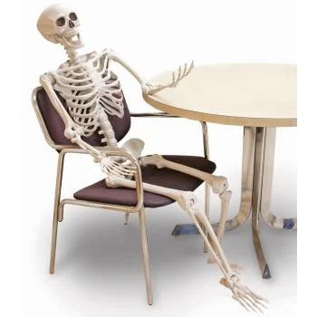 60" Posable Skeleton Halloween Decoration | Walmart (US)