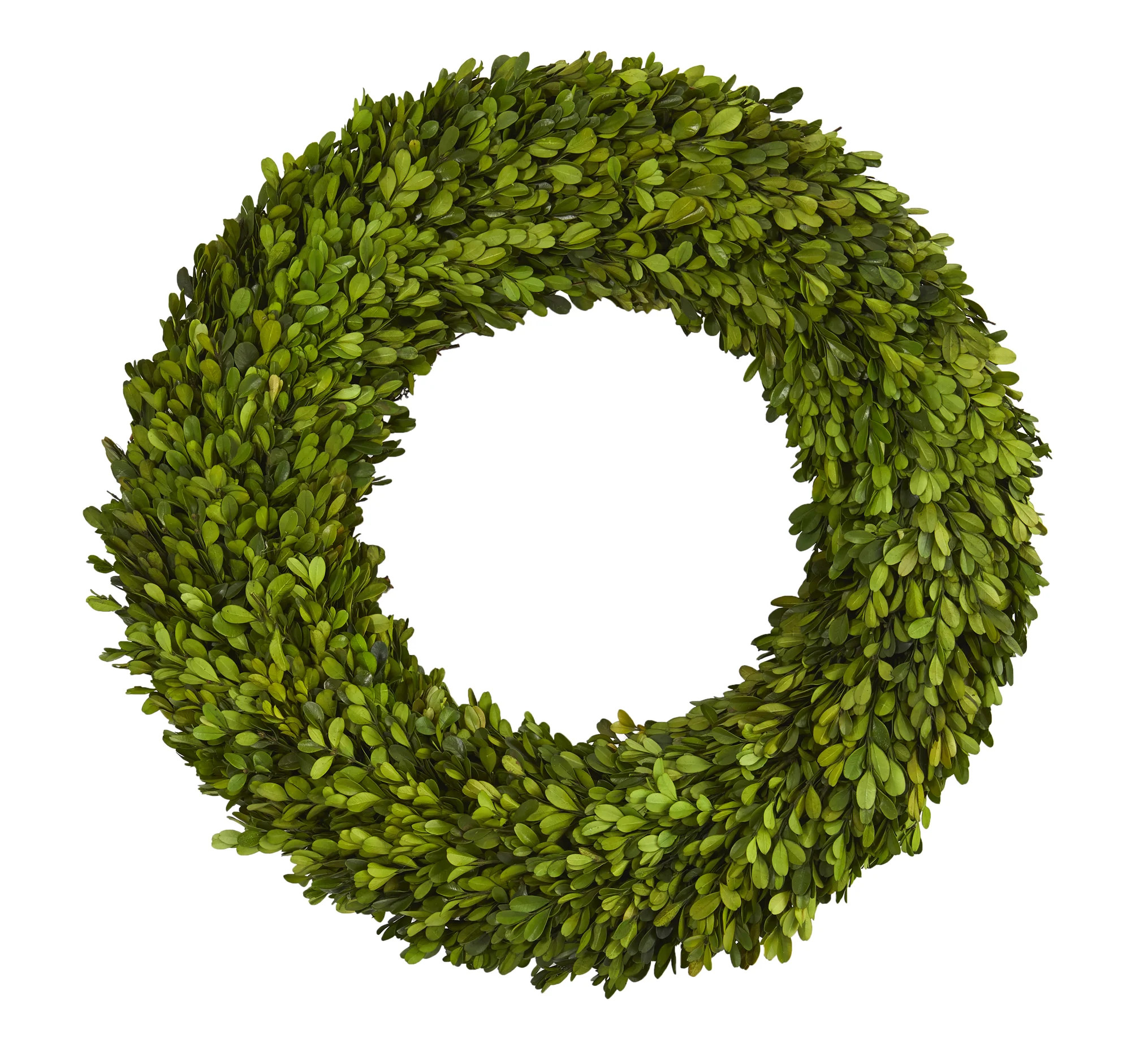 Preserved Boxwood Greenery Wreath | Wayfair North America