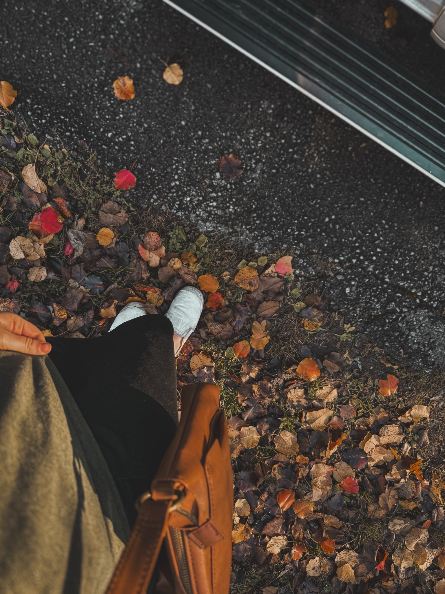 Coffee + shopping #ootd ☕️🤎✨

Linking some of my favorite modest knee length (or longer) athletic skirts from Amazon! So many color options and sizes available! 🤩

#LTKSeasonal #LTKootd #LTKFindsUnder50