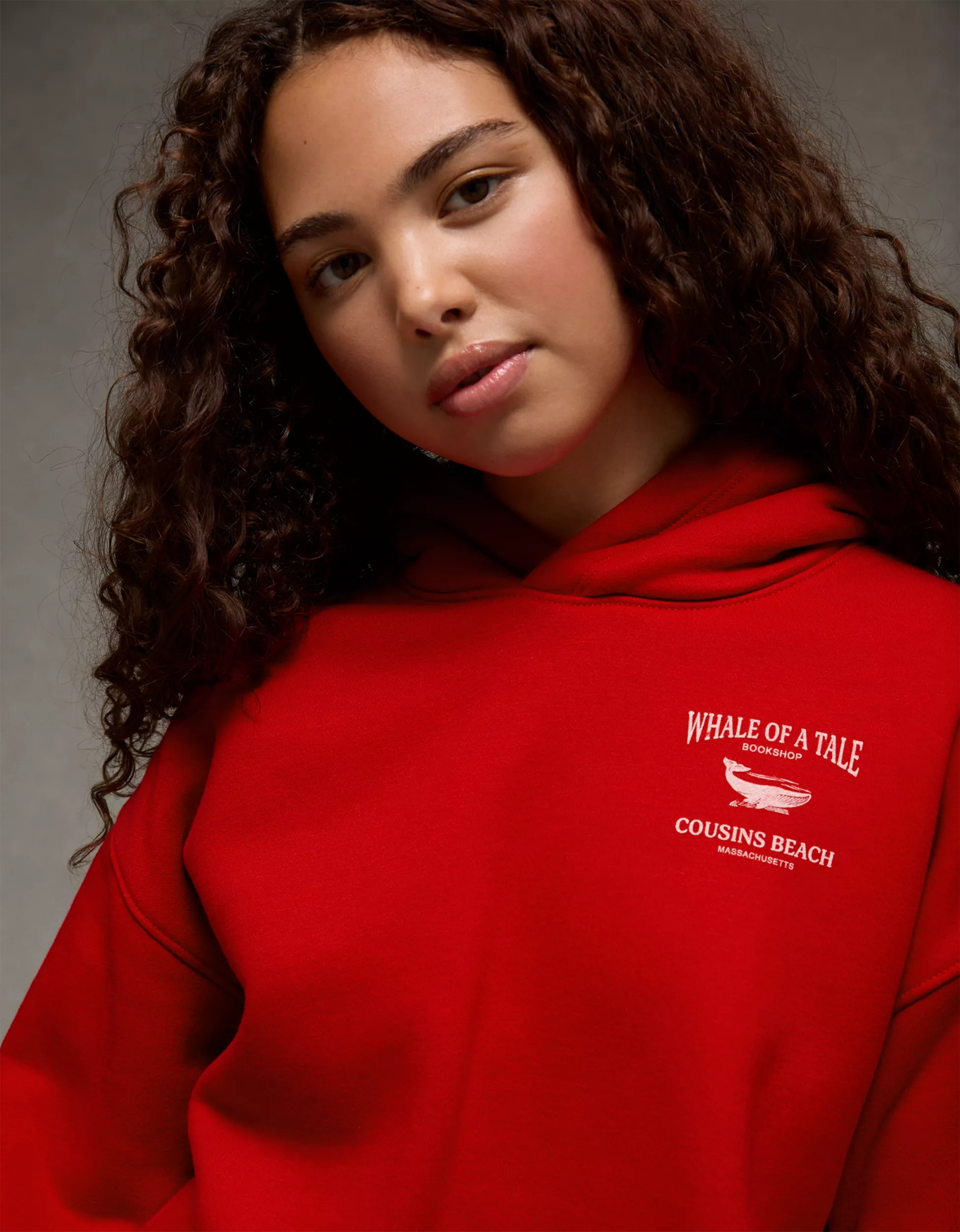 AE x The Summer I Turned Pretty Hoodie | American Eagle Outfitters (US & CA)