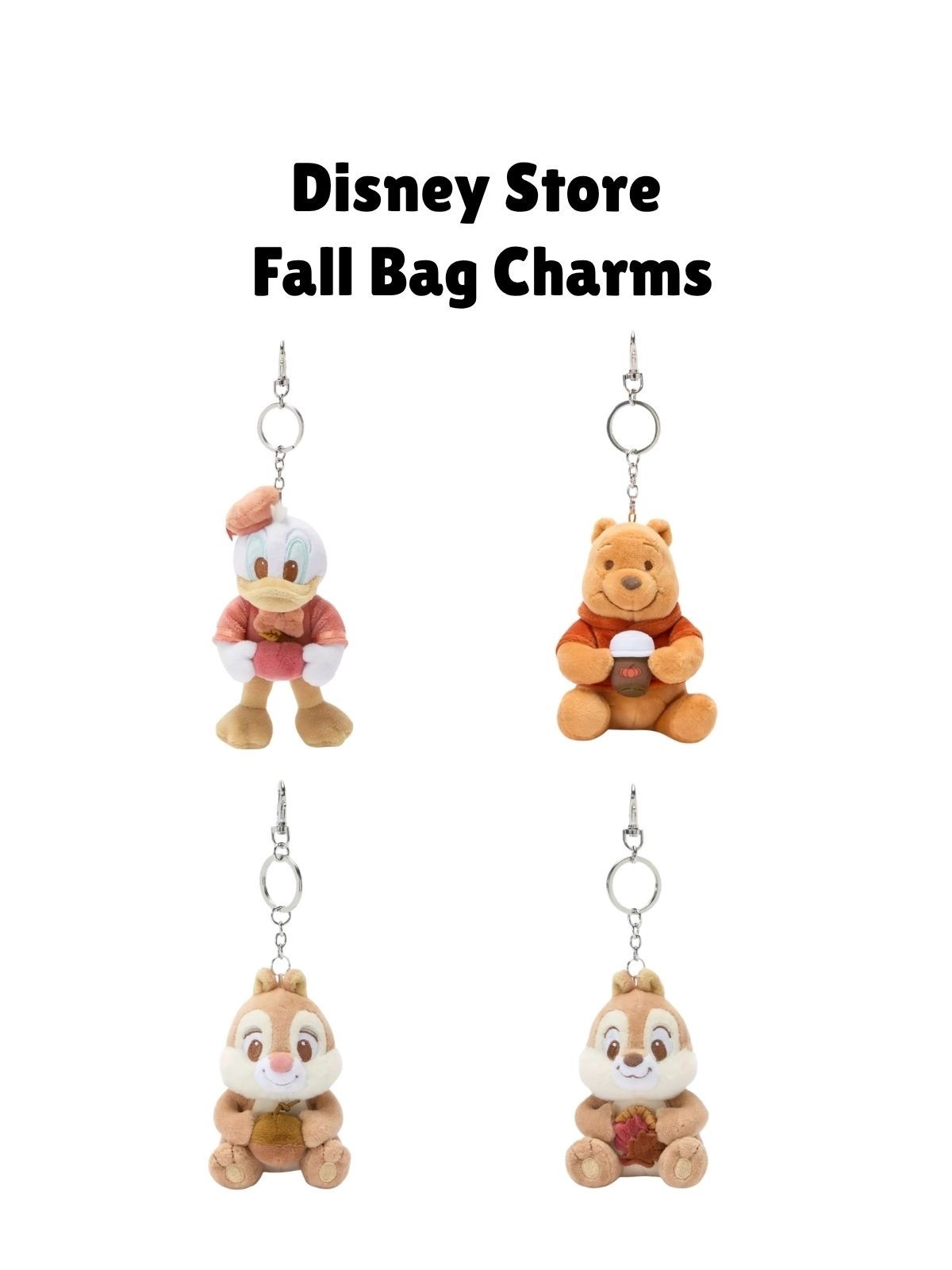 Disney Store fall bag charms

#LTKTravel