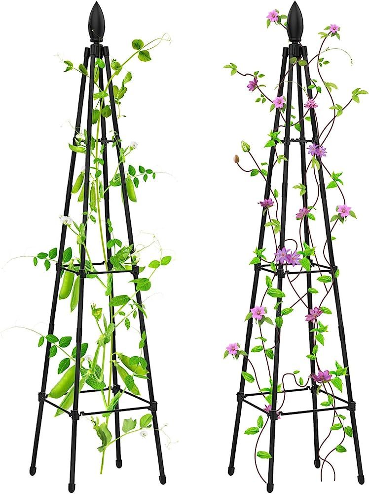 2 Packs Garden Trellis for Climbing Plants Outdoor, deaunbr Plant Support Tower Obelisk Trellis G... | Amazon (US)