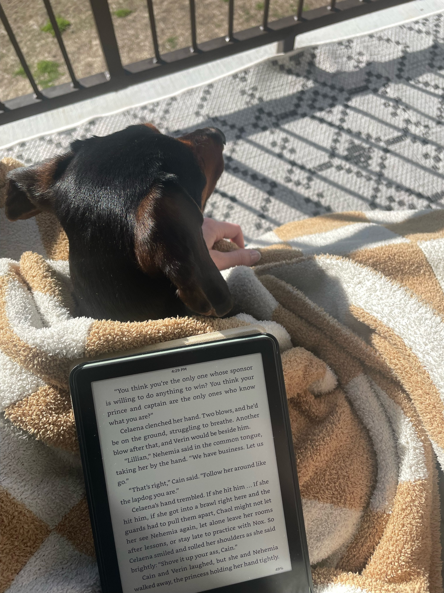 Books and Kindle on sale for the Amazon spring sale! 📚 

Book club | sale alert | reading recommendations 

#LTKfindsunder50 #LTKsalealert