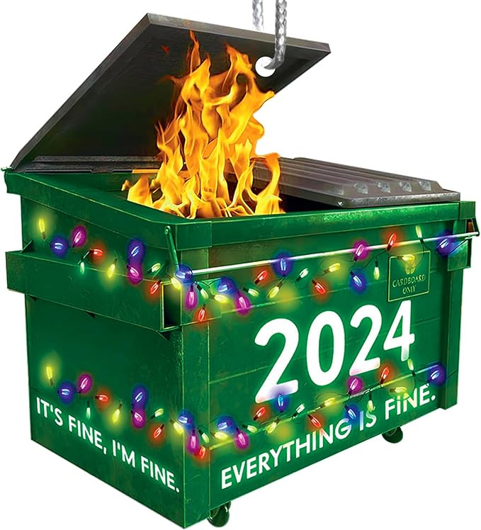 Funny Dumpster Fire Christmas Ornament 2024, Christmas Ornament for Christmas Tree Hanging Decora... | Amazon (US)