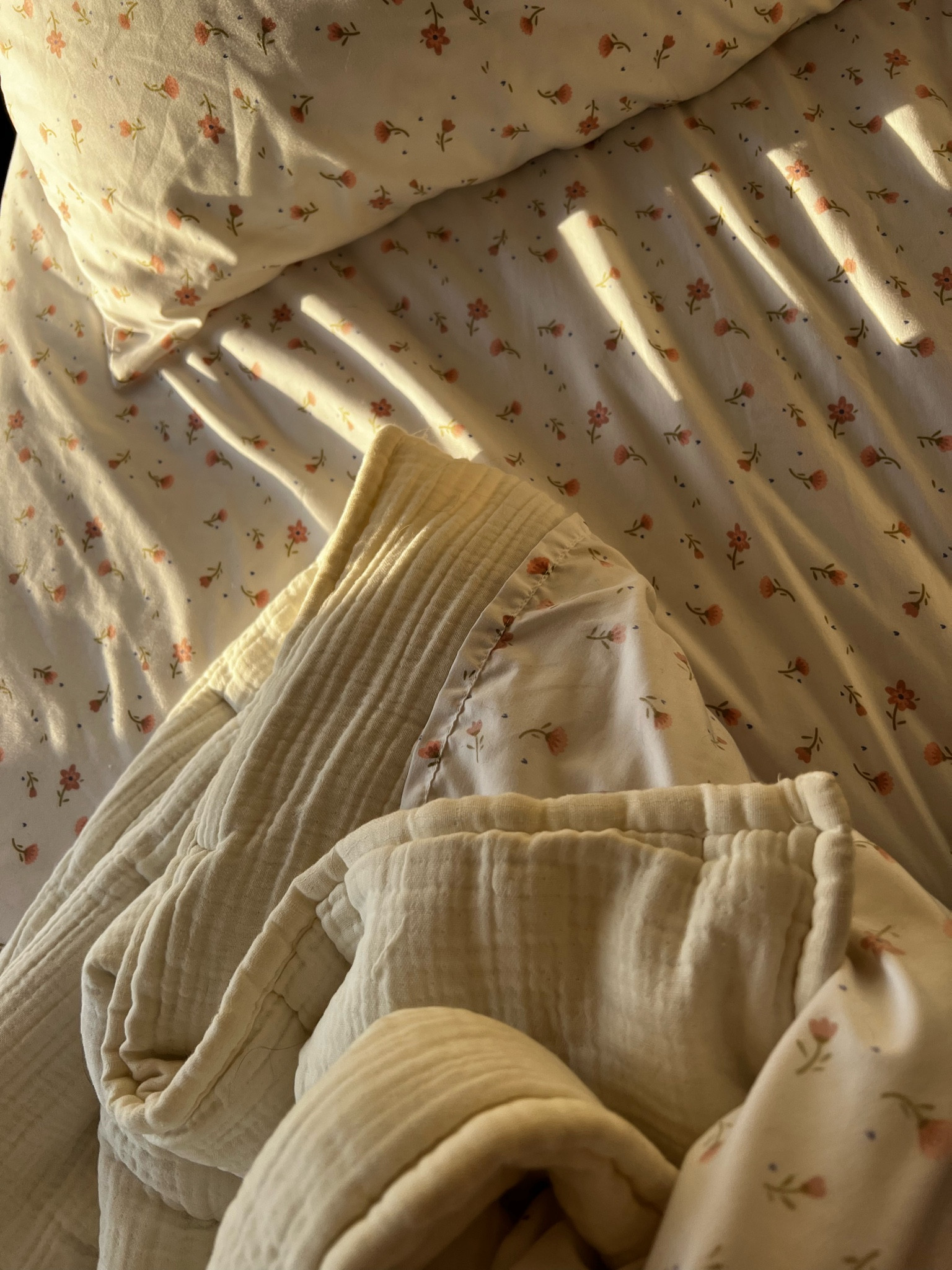 Warm glow morning light 💛

#LTKhome
