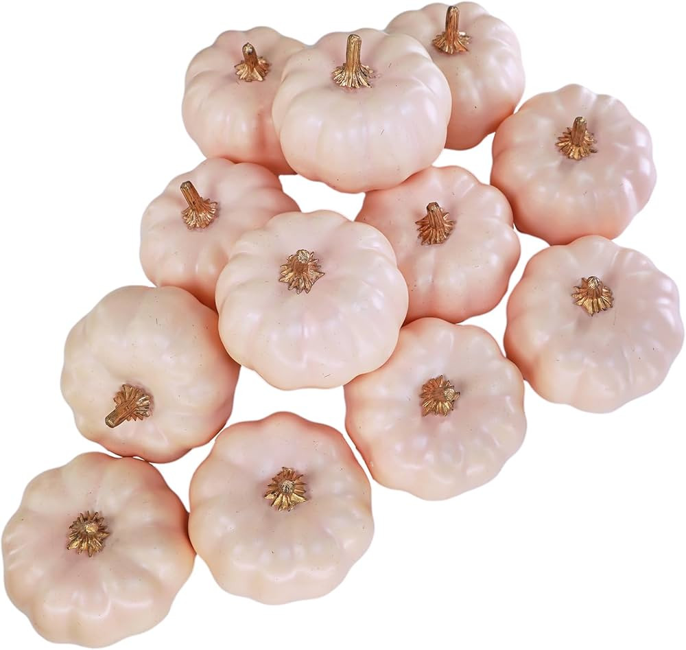 Winlyn 12 Pcs Blush Pink Small Artificial Pumpkins Decorative Pumpkins Pink Foam Pumpkins 3" Wide... | Amazon (US)