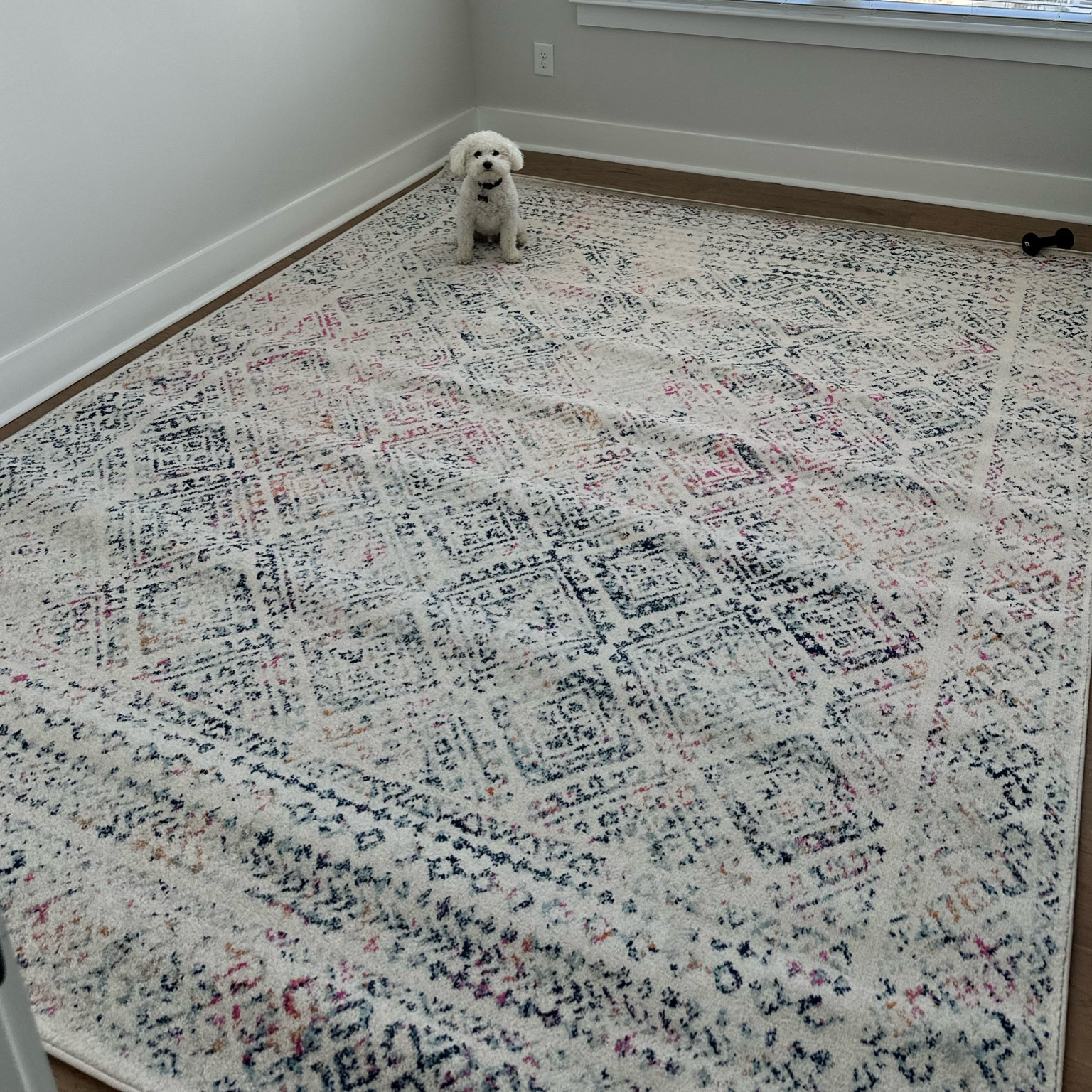 Rug we picked out for the nursery! We loved that it was colorful. The fluff is already loving spending time in there!

#LTKbaby #LTKbump #LTKhome