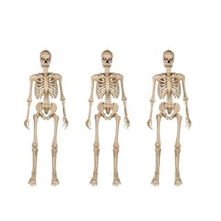 Home Accents Holiday 5 ft. Battery Operated LED Ultra Poseable Skeleton (3-Pack) 5202408 - The Ho... | The Home Depot