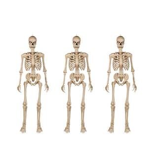 Home Accents Holiday 5 ft. Battery Operated LED Ultra Poseable Skeleton (3-Pack) 5202408 - The Ho... | The Home Depot