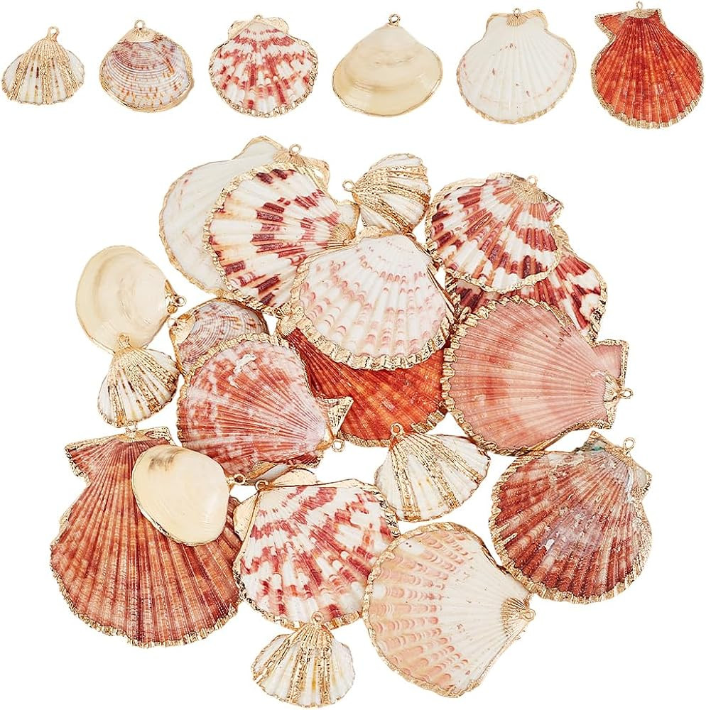 PH PandaHall 24pcs 6 Styles Natural Scallop Shell Pendants, Electroplated Shell Charms Beach Seas... | Amazon (US)